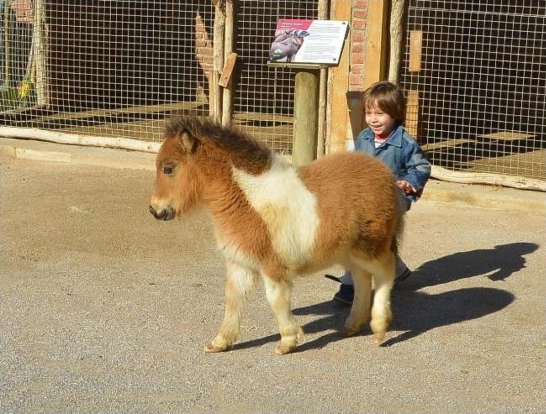B&uuml;y&uuml;kşehir&rsquo;den &Ccedil;ocuklara Bayram Hediyesi