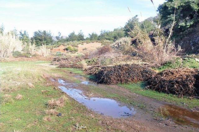 Mezarlıklarda Temizlik Çalışmaları Yapılıyor