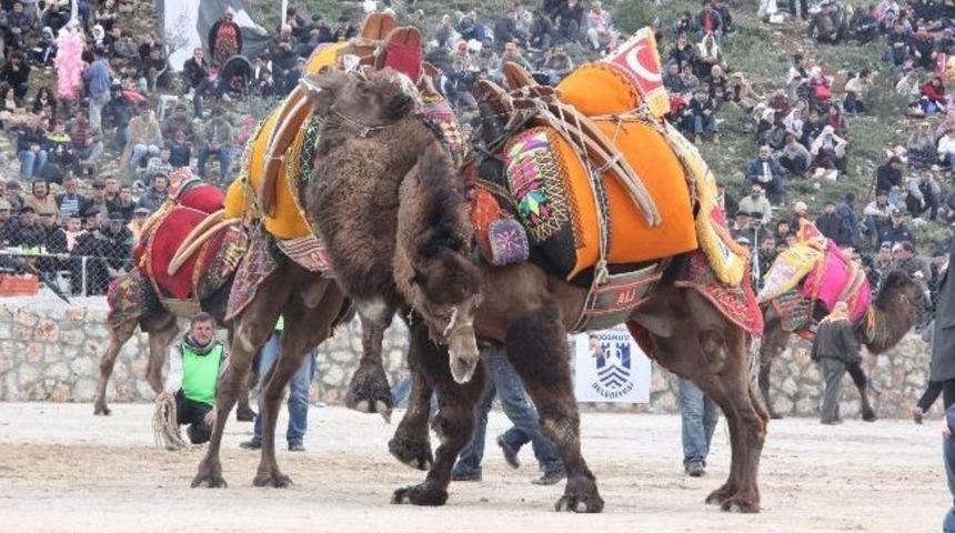 Develer Bodrum Arenasına &Ccedil;ıkıyor