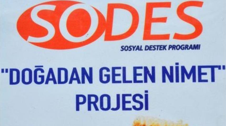 P&uuml;l&uuml;m&uuml;r'de 'Doğadan Gelen Nimet' Projesi Uygulanacak