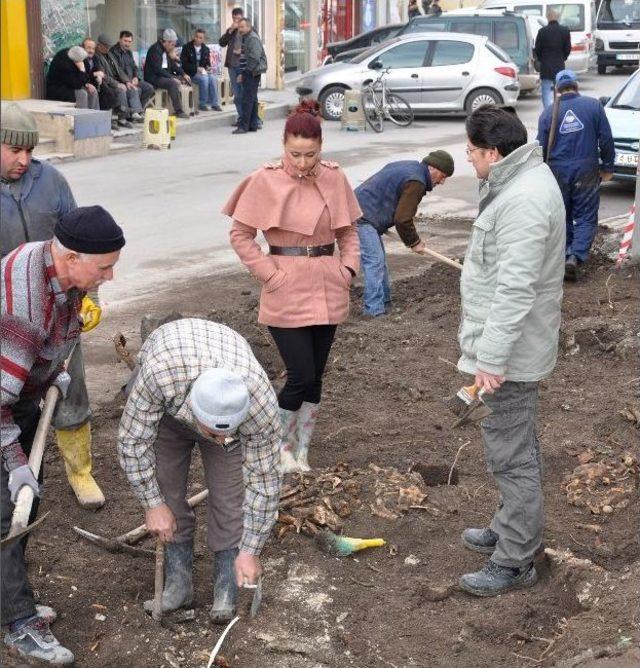 Tarihi Caminin Bahçesinden Mezarlar Çıktı