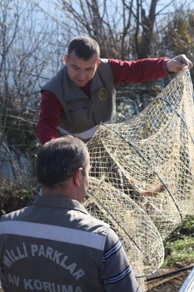 Orman İçi Sularda, Göl Ve Göletlerde Koruma Kontrol Çalışmaları Sürüyor