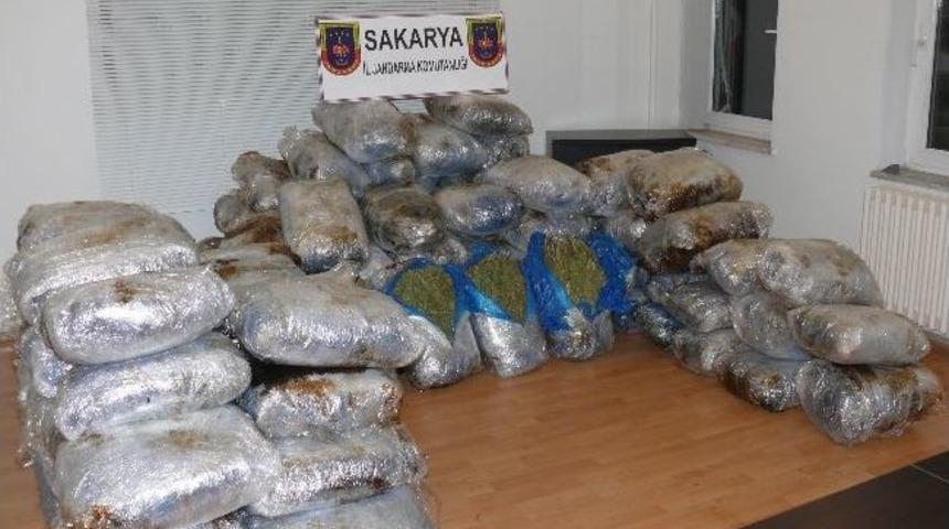 Sakarya'da 520 Kilo Kubar Esrar Ele Ge&ccedil;irildi