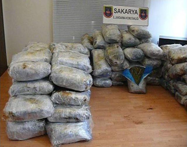 Sakarya'da 520 Kilo Kubar Esrar Ele Geçirildi