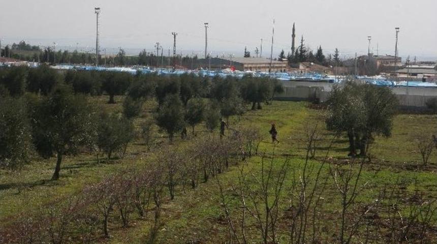 Suriye U&ccedil;aklarının Muhaliflerin B&ouml;lgesine Attığı Bombalar, Kilis'te Paniğe Yol A&ccedil;tı