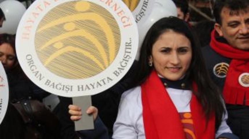 Organ Bağışı I&ccedil;in Y&uuml;r&uuml;ler