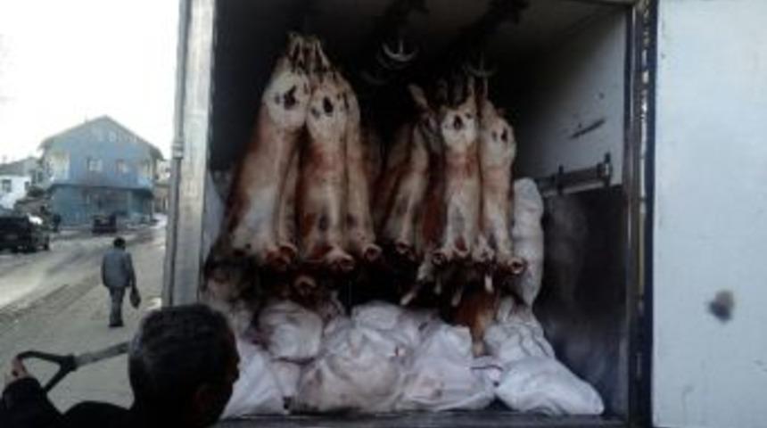 Kahramanmaraş&rsquo;ta 2 Ton Bozuk Et Ele Ge&ccedil;irildi