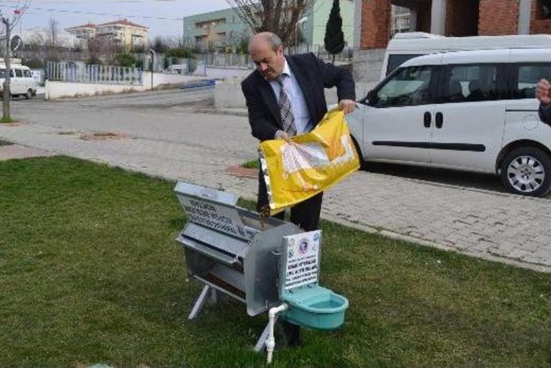 Sokak Hayvanları İ&ccedil;in Beslenme Noktaları Oluşturuldu