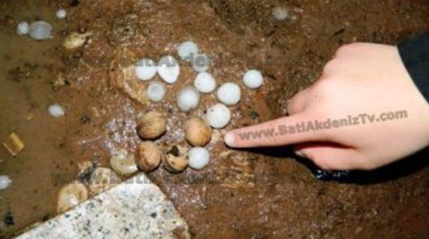 Kumluca'ya Ceviz B&uuml;y&uuml;kl&uuml;ğ&uuml;nde Dolu Yağdı