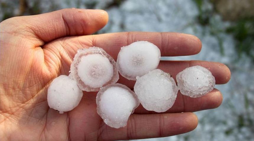 Dolu &Ccedil;i&ccedil;ekleri D&ouml;kt&uuml;