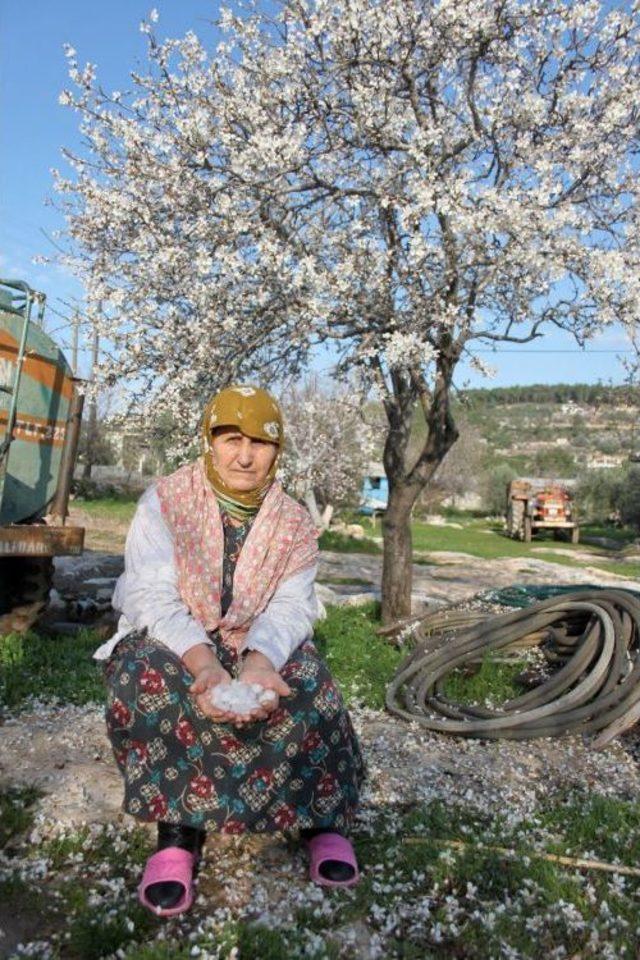 Dolu &Ccedil;i&ccedil;ekleri D&ouml;kt&uuml; 1