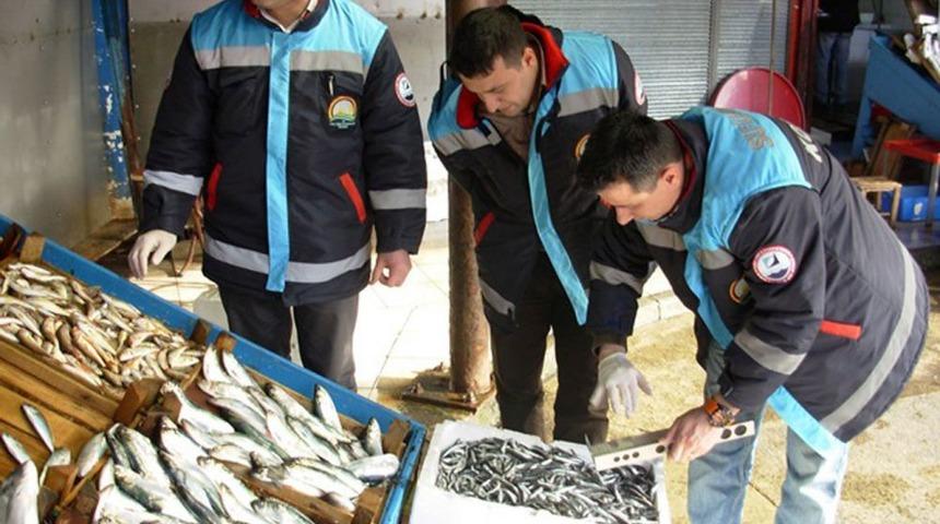 K&uuml;&ccedil;&uuml;k Avlanan 60 Ton Hamsiye El Konuldu