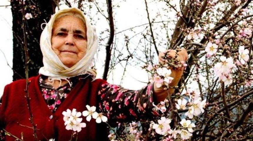 Yaşlı Kadının Yalancı Bahar Keyfi