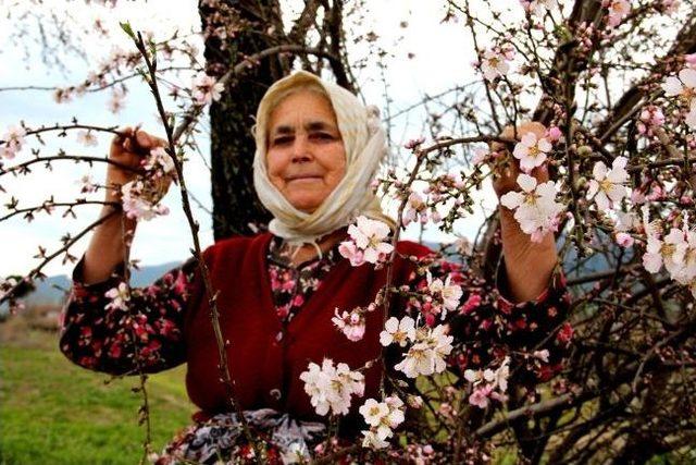 Yaşlı Kadının Yalancı Bahar Keyfi