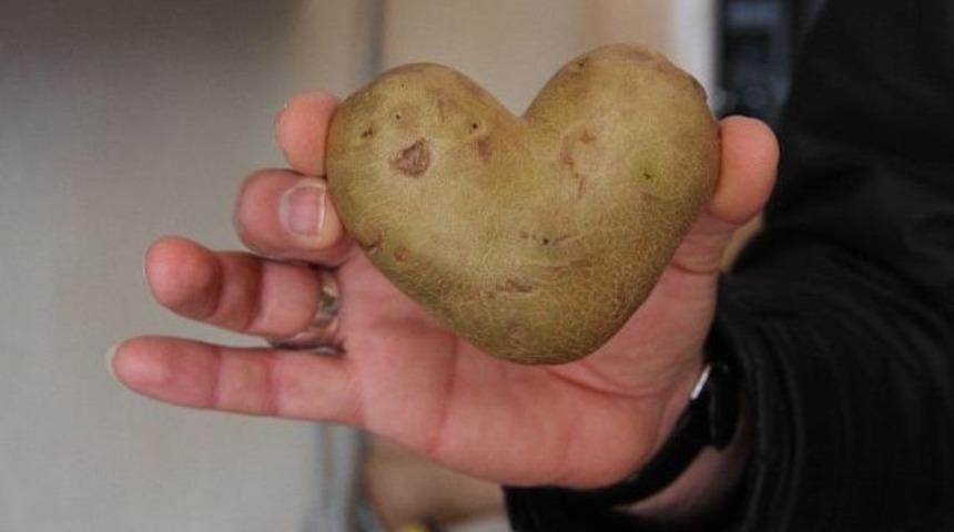 Kalp Şeklindeki Patates Şaşırttı