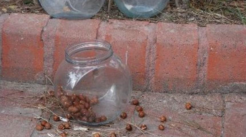 Hırsızlar Seyyar Esnafın Tezgahına G&ouml;z Dikti