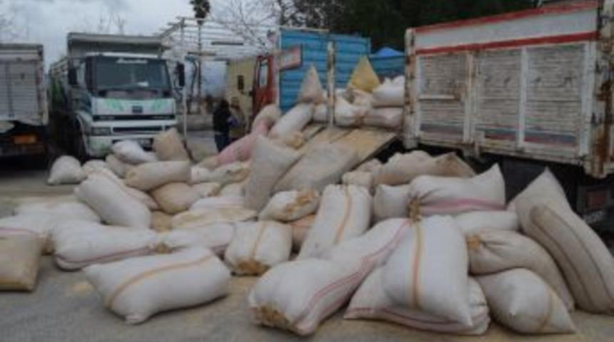 Saman Balyalarının Arasında 555 Kg. Esrar Ele Ge&ccedil;irildi