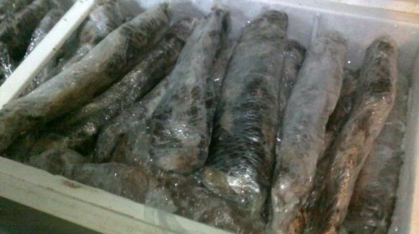 Marmaris'te Zabıta'dan Ka&ccedil;ak Et Operasyonu