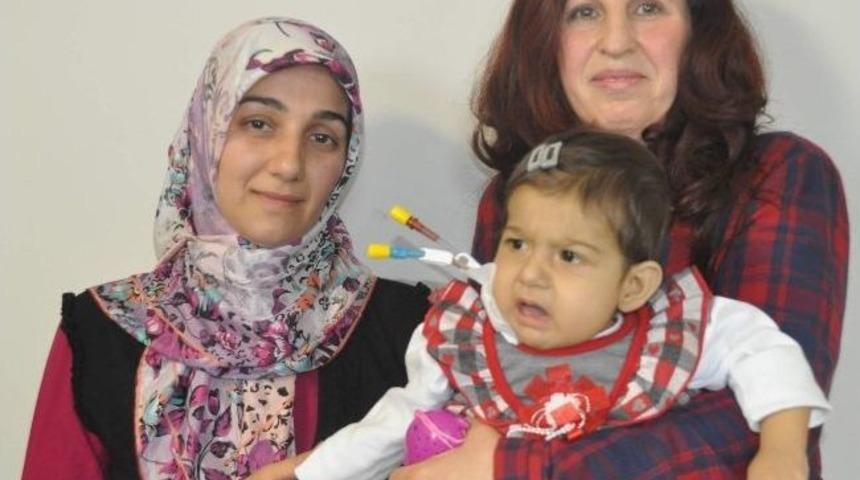 Dokuz Aylık Bebeğe Karaciğer Nakli