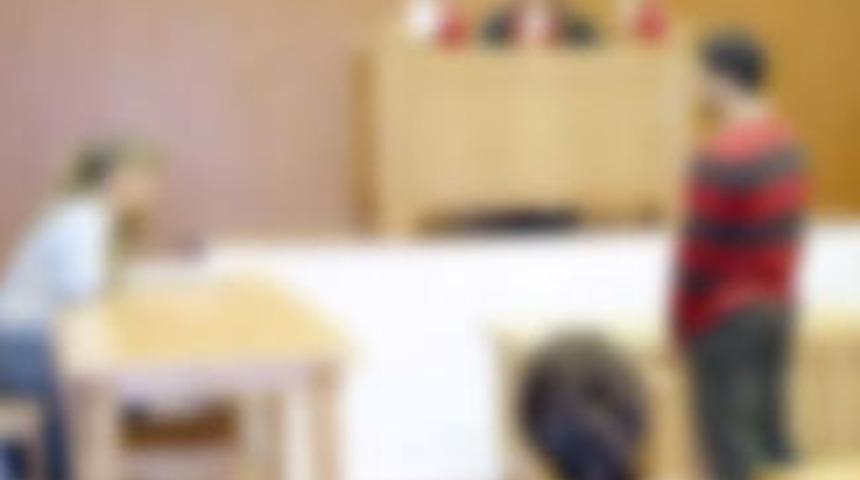 Anadilde savunma istedi, 'K&uuml;rt&ccedil;e bilmiyorum' dedi