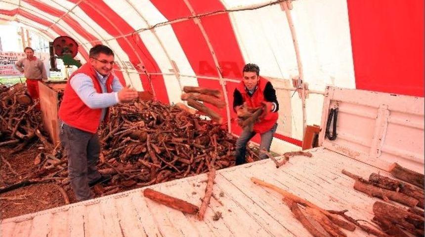 Bayraklı'da Yakacak Yardımı Devam Ediyor