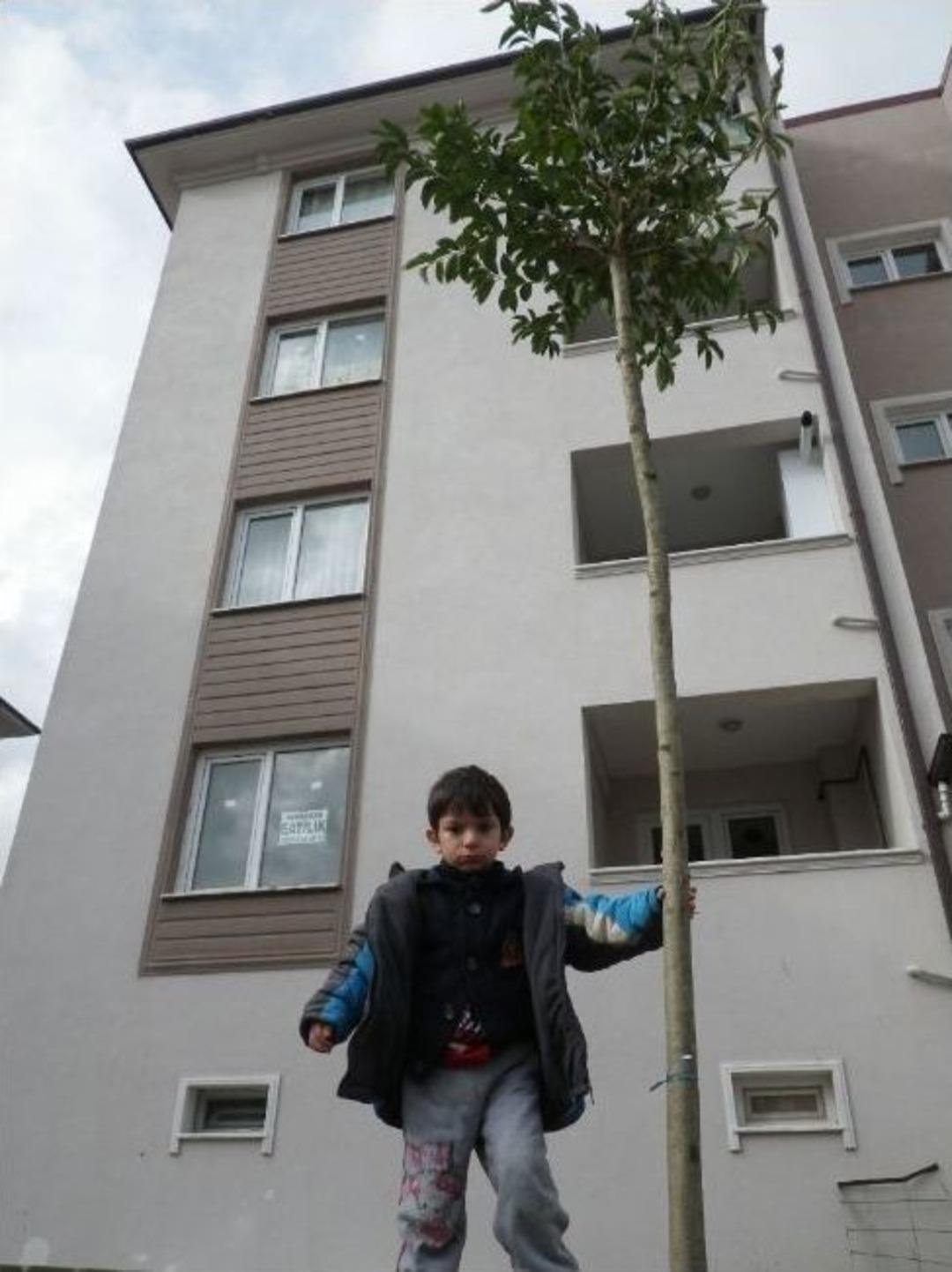 Site Sakinlerinden Ağa&ccedil; Dikme İmecesi