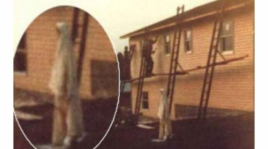 En &uuml;nl&uuml; hayalet fotoğrafları