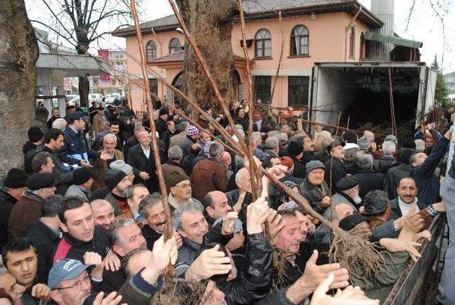 Beş Bin Adet Hendek Hurması Fidesi Dağıtıldı