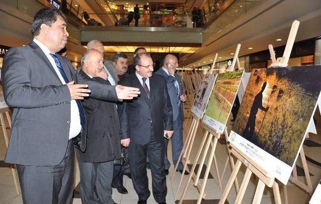 &ldquo;tarım Ve İnsan&rdquo; Konulu Fotoğraf Sergisi A&ccedil;ıldı 1