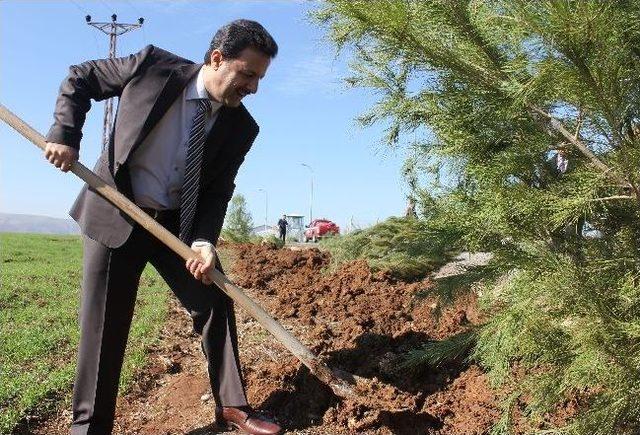 Siirt Üniversitesi Kezer Yerleşkesi'nde Ağaçlandırma Çalışmaları