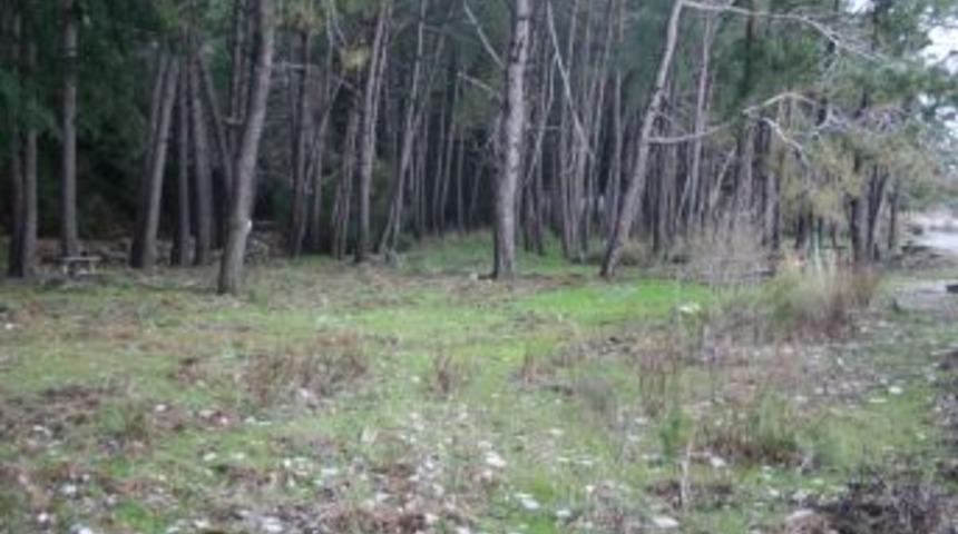 Faili Me&ccedil;hul Kazı &Ccedil;alışmalarına Ara Verildi