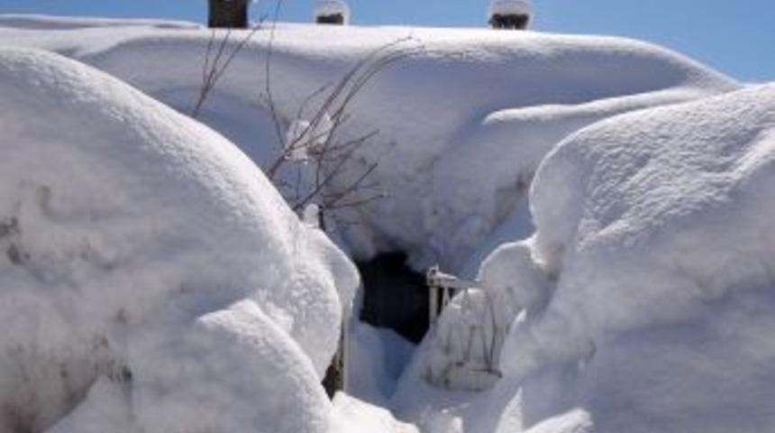 Bitlis&rsquo;te Yine Kar Yağdı, Tek Katlı Evler Kara G&ouml;m&uuml;ld&uuml;