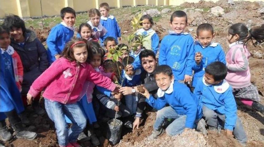 Ballık K&ouml;y&uuml; İlk&ouml;ğretim Okulu Bah&ccedil;esine Ağa&ccedil; Dikildi