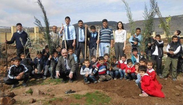 Ballık K&ouml;y&uuml; İlk&ouml;ğretim Okulu Bah&ccedil;esine Ağa&ccedil; Dikildi 1