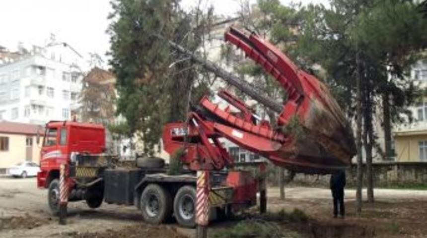 Elazığ'da Ağa&ccedil;lar &Ouml;zel Y&ouml;ntemle Yer Değiştiriyor