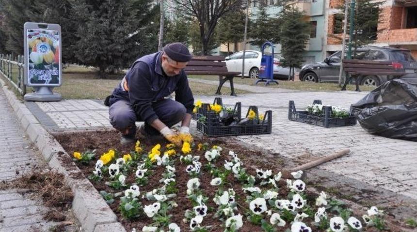 Odunpazarı &Ccedil;i&ccedil;ek A&ccedil;tı