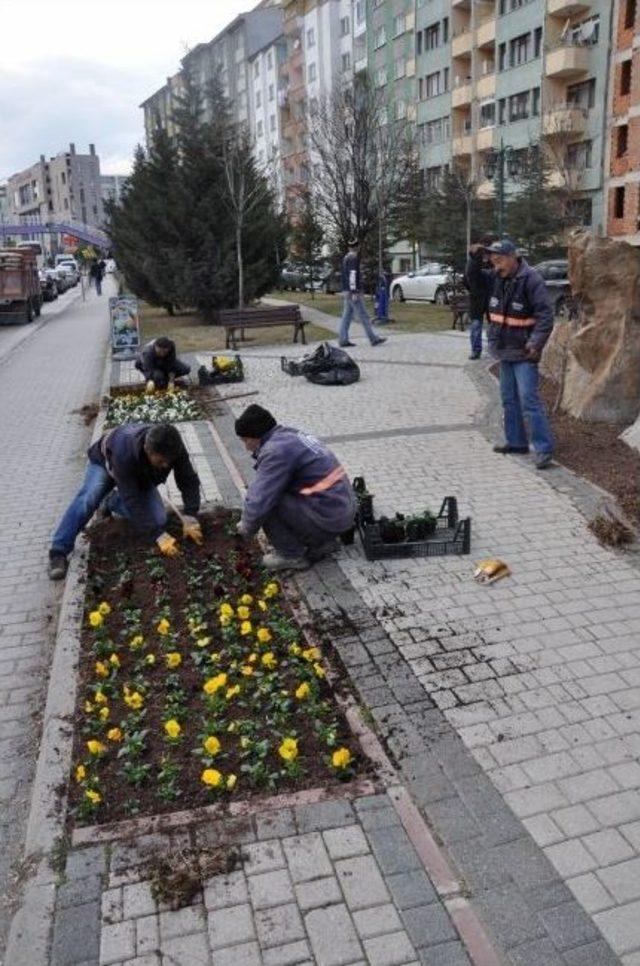 Odunpazarı &Ccedil;i&ccedil;ek A&ccedil;tı 1