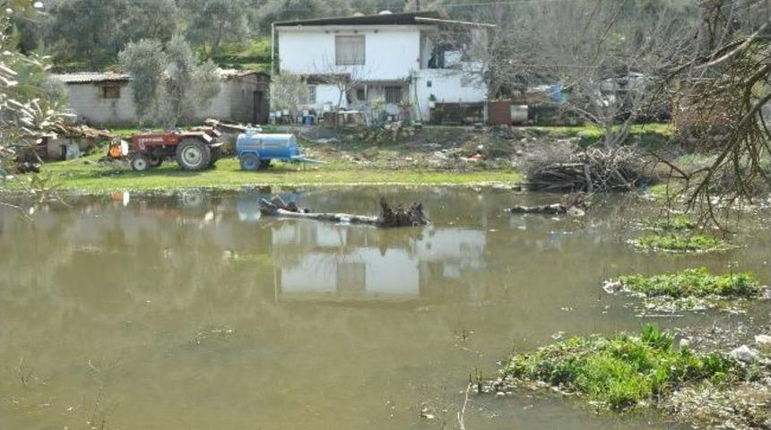 Milas'ta Ev, İş Yeri Ve Araziler Su Altında Kaldı