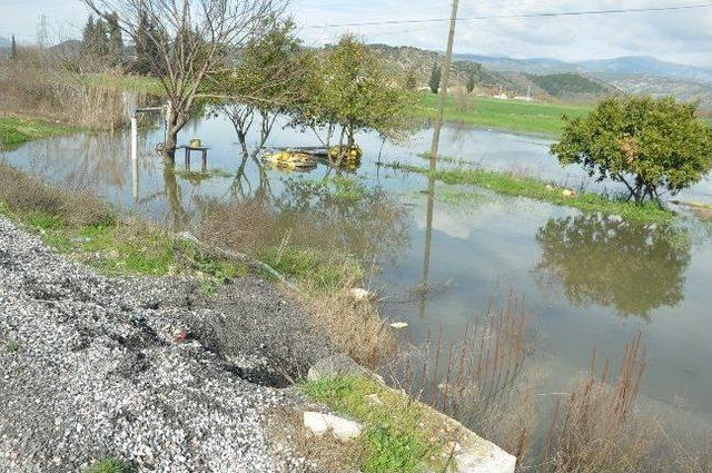 Milas'ta Ev, İş Yeri Ve Araziler Su Altında Kaldı