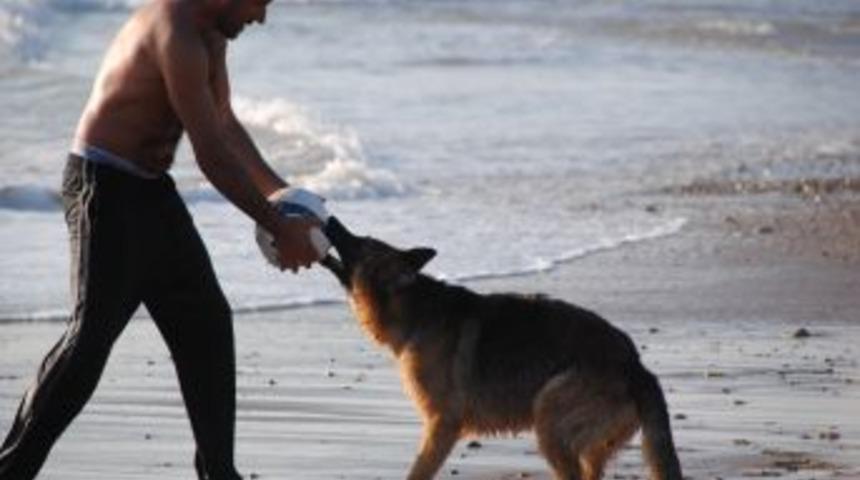 Turistler Yazdan Kalma G&uuml;n&uuml; Y&uuml;r&uuml;y&uuml;ş Yaparak Değerlendirdi