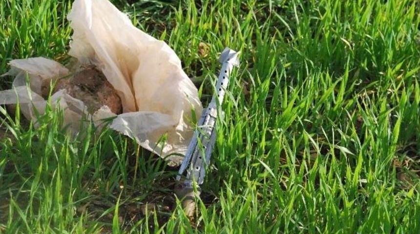 Tarlada Roketatar Mermisi Bulundu