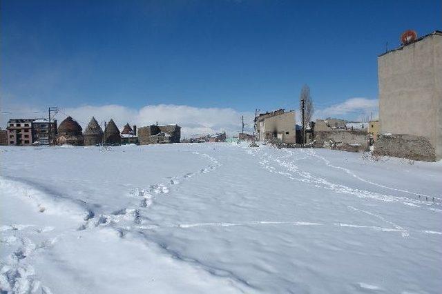 Yakutiye Belediye Başkanı Ali Korkut: 1