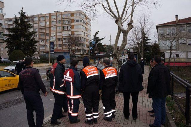 Lüks Otomobiliyle Önce Direğe, Sonra Ağaca Çarptı 3