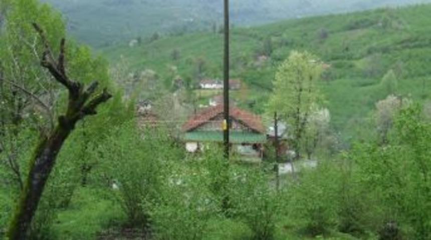 Ruhsatsız Fındık Bah&ccedil;esini S&ouml;kerek Alternatif &Uuml;r&uuml;ne Ge&ccedil;en &Uuml;reticiler Desteklenecek