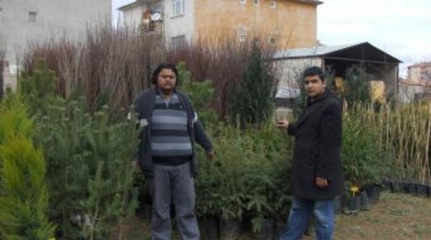 Yerk&ouml;y&rsquo;de Meyve Fidanları Satışa &Ccedil;ıktı