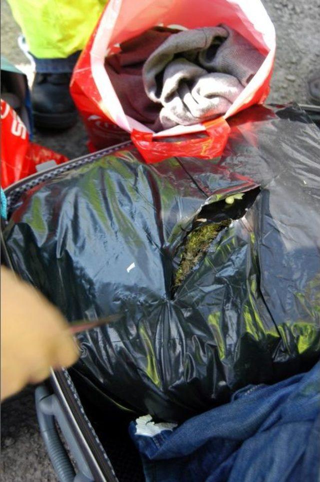 Uşak’ta Aranan Yolcu Otobüslerinde 20 Kilogram Esrar Maddesi Yakalandı 1