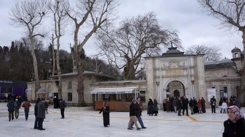 &Ccedil;ınar Ağa&ccedil;larının Asitle Kurutulduğu Iddiasına Vatandaş Tepkisi