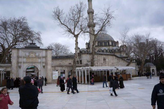 &Ccedil;ınar Ağa&ccedil;larının Asitle Kurutulduğu Iddiasına Vatandaş Tepkisi 2