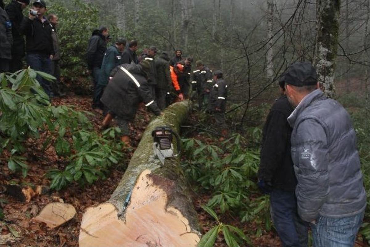 Ereğli&rsquo;de Orman İş&ccedil;ilerine &Uuml;retim Ve İş G&uuml;venliği Tatbikatı