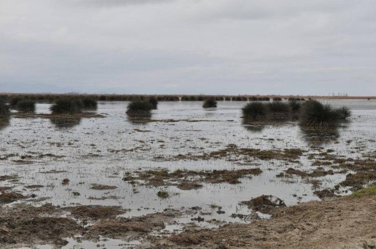 &Ouml;rdek avında g&ouml;lde boğularak &ouml;ld&uuml;